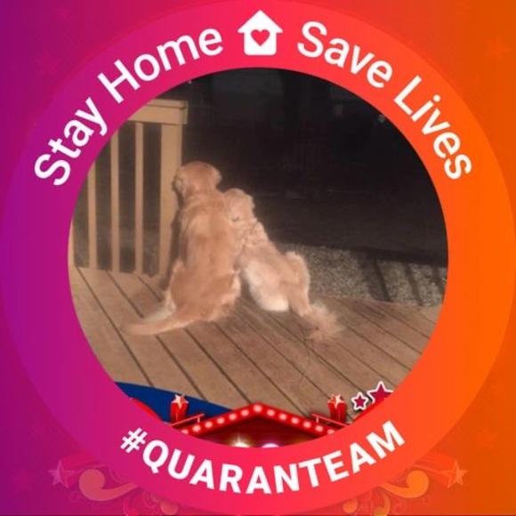 Meet your Posher, Lizz - Picture 1 of 1